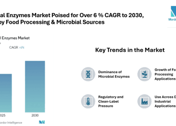 Industrial Enzymes Market Poised for Over 6 % CAGR to 2030, North America Largest, Asia-Pacific Fastest Growing, Driven by Food Processing & Microbial Sources