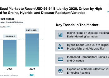 Seed Market Size to Reach USD 99.94 Billion by 2030, Says Mordor Intelligence’s Research