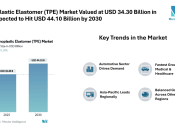 Thermoplastic Elastomer (TPE) Market Global Industry Expected to Cross USD 44.10 Billion by 2030 | Driven by Automotive and Medical Demand