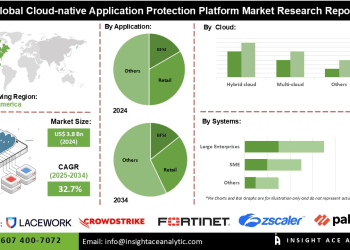 Cloud-Native Application Protection Platform Market Expansion in Professional and Managed Services