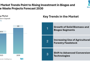 Bioenergy Market to Hit 200 GW by 2030, Driven by Increasing Heat and Fuel Demand, Solid Biomass Growth | Mordor Intelligence